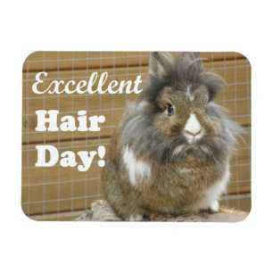 Lönsam "Excellent Hair Day" för kanin Magnet