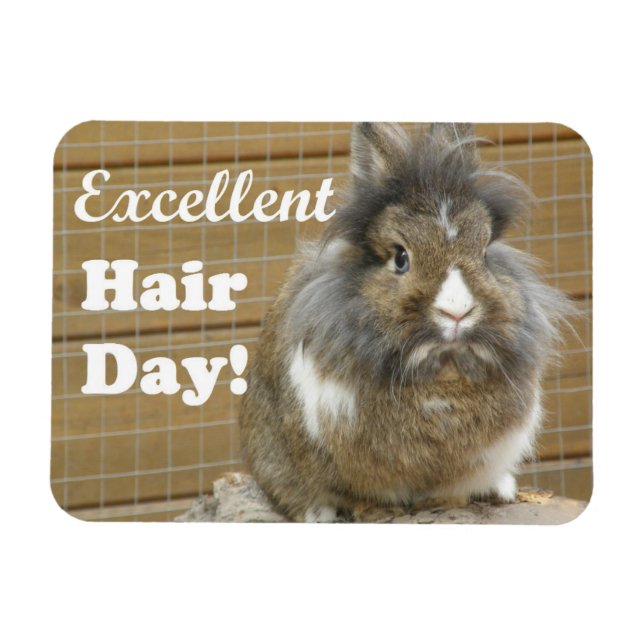 Lönsam "Excellent Hair Day" för kanin Magnet (Horisontell)