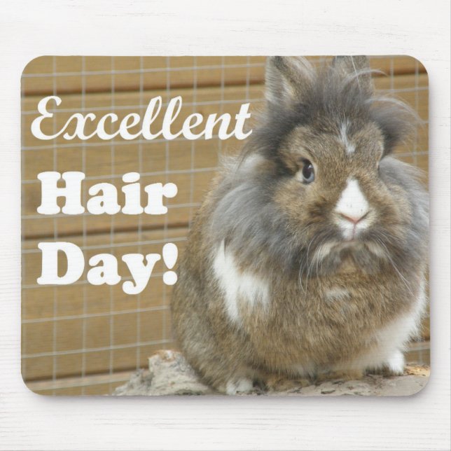 Lönsam "Excellent Hair Day" för kanin Musmatta (Framsidan)
