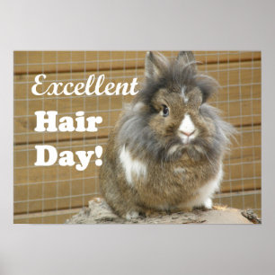 Lönsam "Excellent Hair Day" för kanin Poster