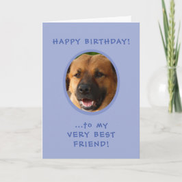 Lönsam födelsedag från Hund till ägare av fotokort Kort