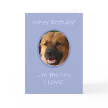 Lönsam födelsedag från Hund till ägare med Kärlek