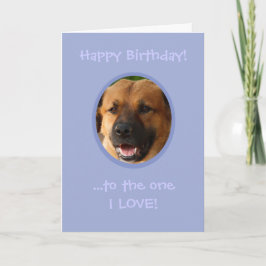 Lönsam födelsedag från Hund till ägare med Kärlek Kort