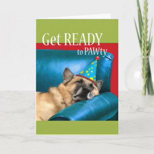 Lönsam födelsedag, Hund Asov på soffan med Party H Kort