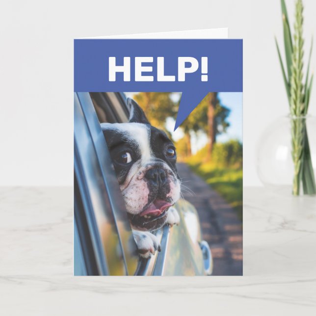 Lönsam framdrivningsbil, Hund passagerare Kort (Framsida)