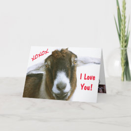Lönsam Goat Valentindag Helgkort