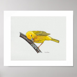 Lönsam Gult Warbler Art Skriv ut Poster