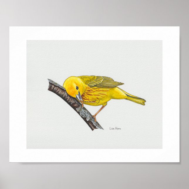 Lönsam Gult Warbler Art Skriv ut Poster (Framsidan)