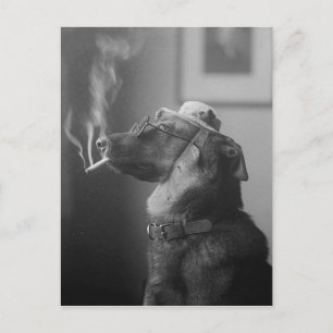 Lönsam Hund av Vintage med hög rökning Cigarett Vykort