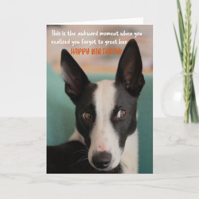 Lönsam Hund Birthday Greeting Card Kort (Framsida)