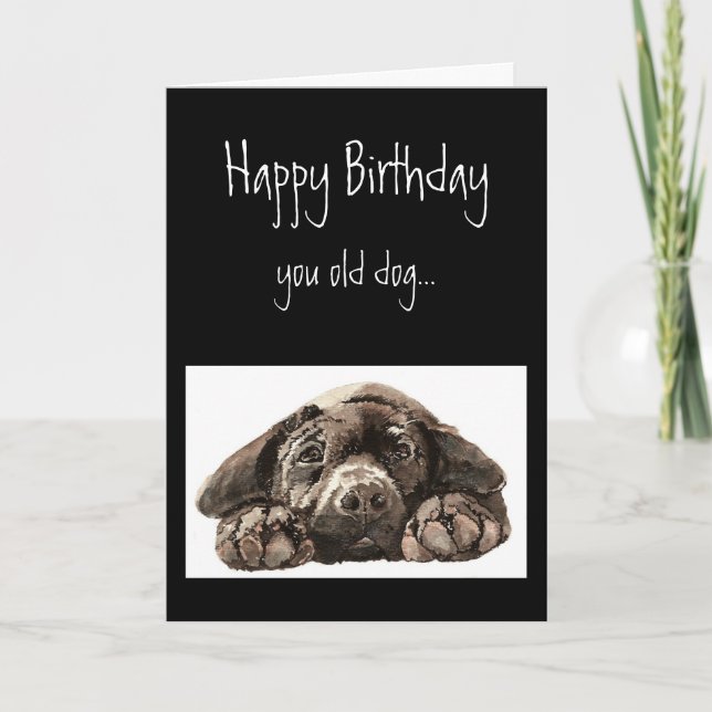 Lönsam Hund Birthday, Labrador Retriever Kort (Framsida)