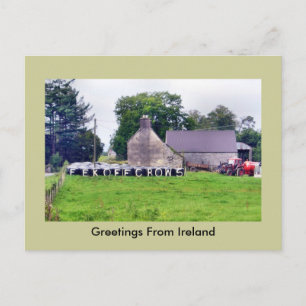Lönsam Irish Fågelskrämma Postcard Vykort