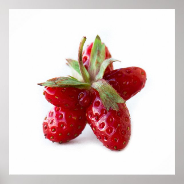 Lönsam jordgubbsbär poster (Framsidan)