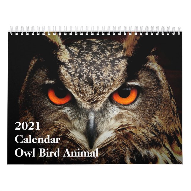 Lönsam kalender: Uggla fågeldjur Kalender (Omslag)
