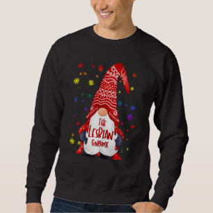 Lönsam Lesbisk Gnome-familjen matchande jul Paj Lång Ärmad Tröja