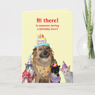 Lönsam mall för födelsedag