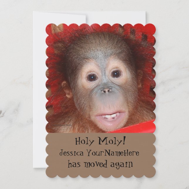 Lönsam Ny adress Animal Baby Meddelande (Framsida)