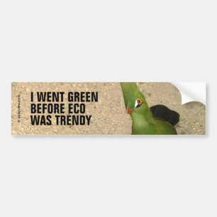 Lönsam Nyfiken guineansk Turaco-Grönt Bird Bildekal