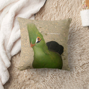 Lönsam Nyfiken guineansk Turaco-Grönt Bird Kudde