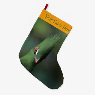 Lönsam Nyfiken guineansk Turaco-Grönt Bird Stor Julstrumpa
