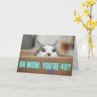 Lönsam Nyfiken katt 40:e födelsedagen