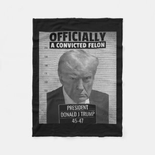 Lönsam ordförande Trump är officiellt en dömd Fe Fleecefilt