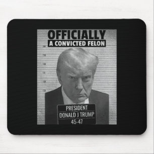 Lönsam ordförande Trump är officiellt en dömd Fe Musmatta