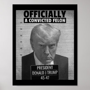 Lönsam ordförande Trump är officiellt en dömd Fe Poster