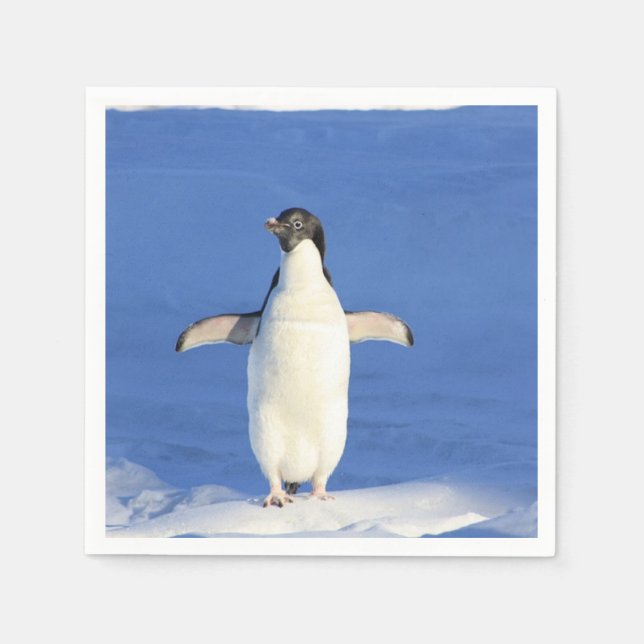 Lönsam penguin på is pappersservett (Framsidan)