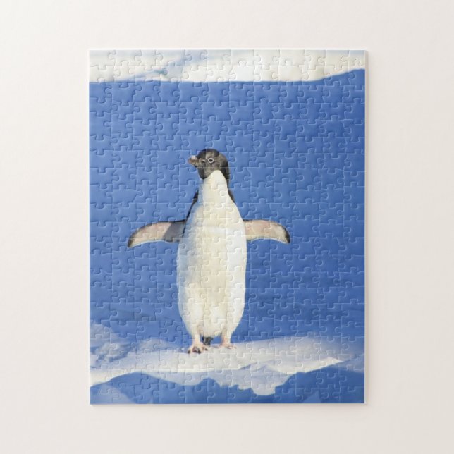 Lönsam penguin på is pussel (Vertikal)