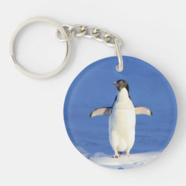 Lönsam penguin på isfoto
