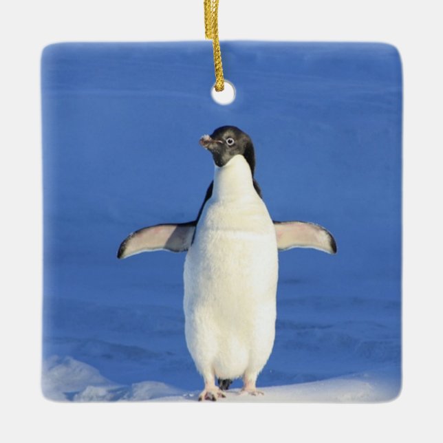 Lönsam penguin på isfoto julgransprydnad keramik (Framsida)