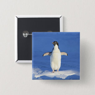 Lönsam penguin på isfoto knapp