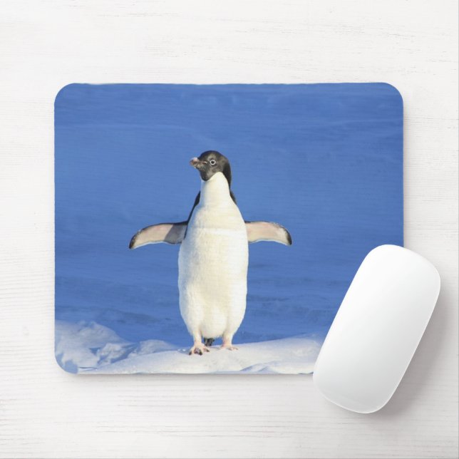 Lönsam penguin på isfoto musmatta (Med mus)