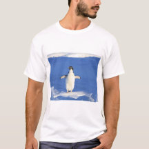 Lönsam penguin på isfoto