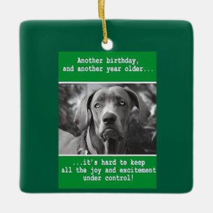 Lönsam Personlig Hund Photo Birthday Julgransprydnad Keramik