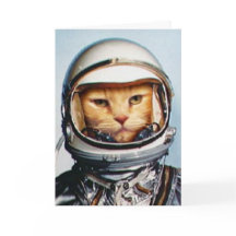 Lönsam "Space Cat"-födelsedag