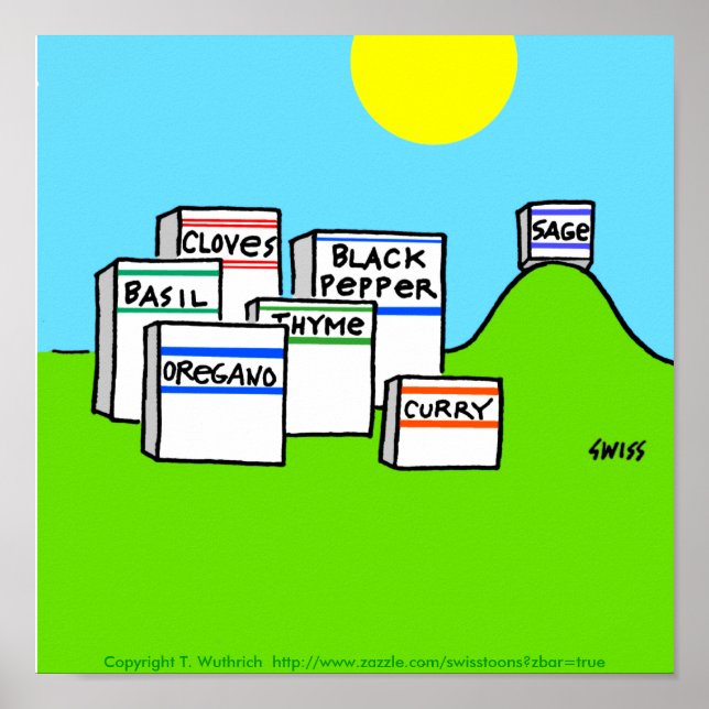 Lönsam spices Bright Colorful Tecknad Kitchen Poster (Framsidan)