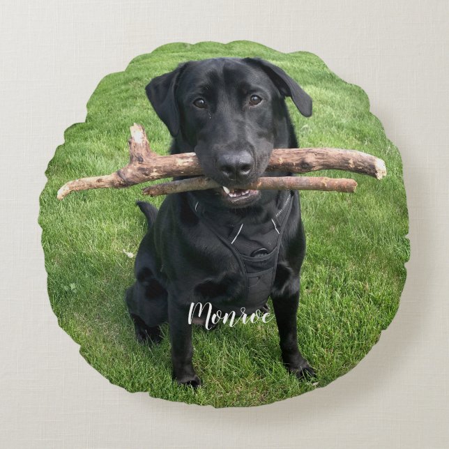 Lönsam Svart lab Pet Personlig Namn och Photo  Rund Kudde (Framsidan)