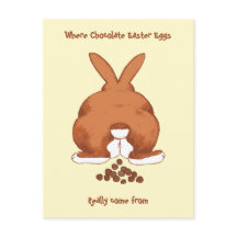 Lönsam trådbunden Påskhare © Sandy Long