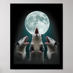 Lönsam tre Possum Måne _ 3 opossum och död Måne Poster