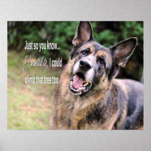 Lönsam tysk Shepherd-Hund Poster Skriv ut