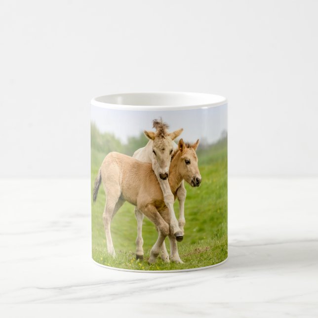 Lönsam Vild Konik Horses Foals spelar tillsammans  Kaffemugg (Center)