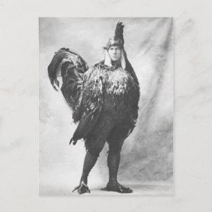 Lönsam Vintage av Konstig Fotografi av kycklingdrä Vykort