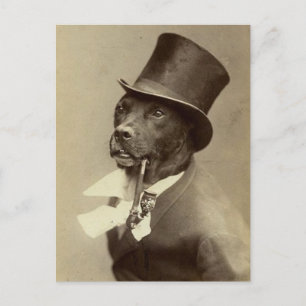 Lönsam Vintage Foto av Hund i Top hat Vykort
