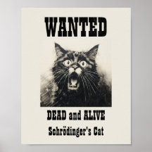 Lönsam Vintage Poster Schrödingers katt