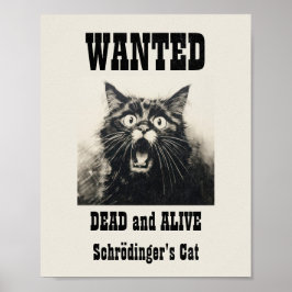 Lönsam Vintage Poster Schrödingers katt