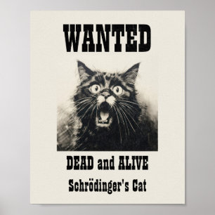 Lönsam Vintage Poster Schrödingers katt