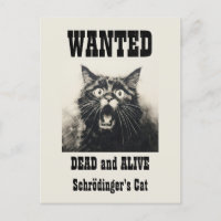 Lönsam Vintage Poster Schrödingers katt