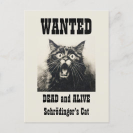 Lönsam Vintage Poster Schrödingers katt Vykort